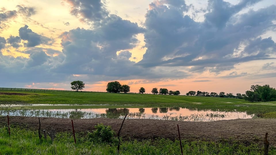 About The Prairie Guild